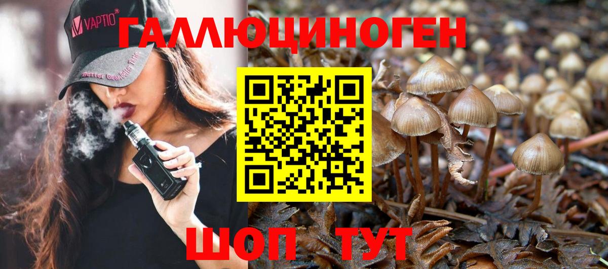 Псилоцибиновые грибы Magic Shrooms Барнаул