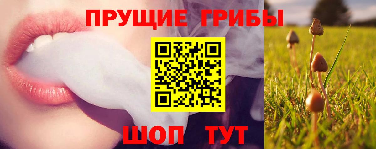 Барнаул  Галлюциногенные грибы ЛСД  Галлюциногенные грибы Psilocybe  магазин    Вход с VPN 